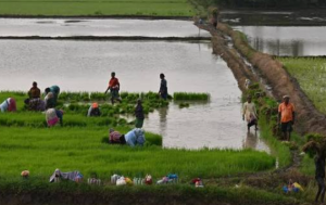 Tamil Nadu Expands Cooperative Crop Loan Waiver to ₹75,000