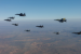 Air Force to Join Exercise Pitch Black 2026 in Australia