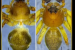 New Lynx Spider Species Found in Meghalaya