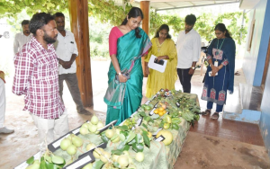 Native Fruit Tree Cultivation Promoted in Nilgiris