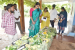 Native Fruit Tree Cultivation Promoted in Nilgiris