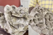 15-Million-Year-Old Shark Fossils Found in Odisha