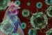 H5 Bird Flu Detected in Western Australia