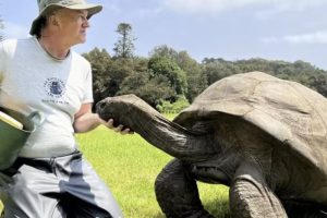 Jonathan Becomes World’s Oldest Known Land Animal