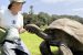Jonathan Becomes World’s Oldest Known Land Animal
