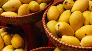 APEDA Facilitates First Sea Export of Banganapalle Mangoes