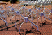 Murchison Widefield Array Finds New Millisecond Pulsar