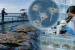ICAR-CIBA Demonstrates Blue Swimmer Crab Farming