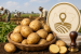 Indori Malwi Potato, Garadu and Balam kakdi from Madhya Pradesh Get GI Tag