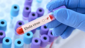 WHO Lists First Ebola Bundibugyo Diagnostic Test for Emergency Use