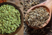Gujarat’s Unjha Cumin and Fennel Get GI Tags