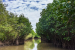 Pichavaram Mangroves Valued at ₹2,485 Crore