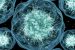 Cyclospora Outbreak Sickens Thousands Across United States