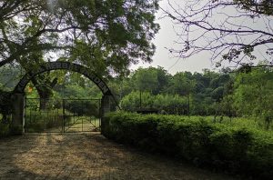 India’s First Night Safari Gets Supreme Court Nod