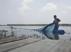 भारत ने डब्ल्यूटीओ की मत्स्य सब्सिडी संधि में शामिल होकर समुद्री संरक्षण को दिया समर्थन