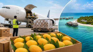 APEDA Facilitates First Air Shipment of Karnataka Mangoes to Maldives