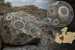 Earth’s Second-Oldest Orbicular Rock Found in Madhya Pradesh