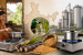 Ethanol Cooking Fuel Policy in India