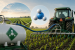 India Allows Anhydrous Ammonia Use in Agriculture