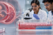 Indian scientists develop placenta-on-chip platform