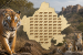 Rajasthan Tiger Population Reaches 149