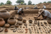 TNSDA Uncovers Over 1,000 Artefacts at Vellalore