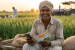 Cabinet Extends PM-KISAN Scheme for Five Years