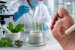 CSIR-IICT Develops Plant-Based Drug for Diabetic Foot Ulcers