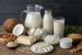 Dairy Analogues and Substitute Foods