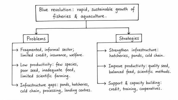 Defining blue revolution, explain the problems and strategies for pisciculture development in India. (UPSC 2018)
