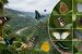 Dehing Patkai Records 165 Butterfly Species
