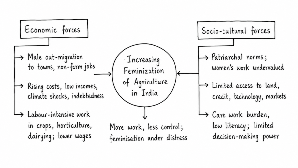 Discuss the various economic and socio-cultural forces that are driving increasing feminization of agriculture in India. (UPSC 2014)