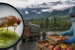 Drosicha turkistanica Raises Quarantine Concerns in Jammu & Kashmir