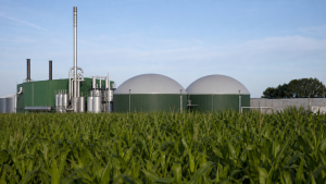 Global Biofuels Alliance