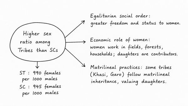 How do you explain the statistics that show that the sex ratio in Tribes in India is more favourable to women than the sex ratio among Scheduled Castes? (UPSC 2015)