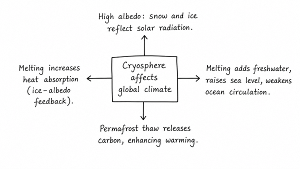 How does the cryosphere affect global climate? (UPSC 2017)