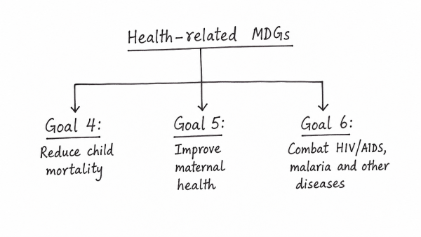 Identify the Millennium Development Goals (MDGs) that are related to health. Discuss the success of the actions taken by the Government for achieving the same. (UPSC 2013)