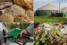 Important Biofuel and Biomass Recovery Methods