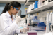 Important DNA Markers Used in Species Identification
