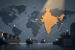 India Named in US Shadow Transhipment Network