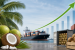India’s Coconut Exports Rise 62% in FY26