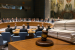 International Sanctions and Economic Restriction Mechanisms