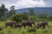 Major Elephant Landscapes of India