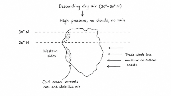 Major hot deserts in the Northern Hemisphere are located between 20°–30° North and on the western side of the continents. Why? (UPSC 2013)