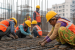 Major Labour Market Indicators in India