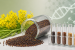 NBA Releases ₹15.52 Crore from Mustard Genetic Resources