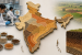 NBSS&LUP Develops India’s First Soil Texture Map