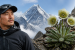 New Himalayan Plant Named After Nirmal Purja