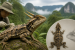 New Horned Dragon Lizard Species Found in Thailand