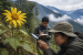 Researchers Discover New Sunflower Species in Arunachal Pradesh
